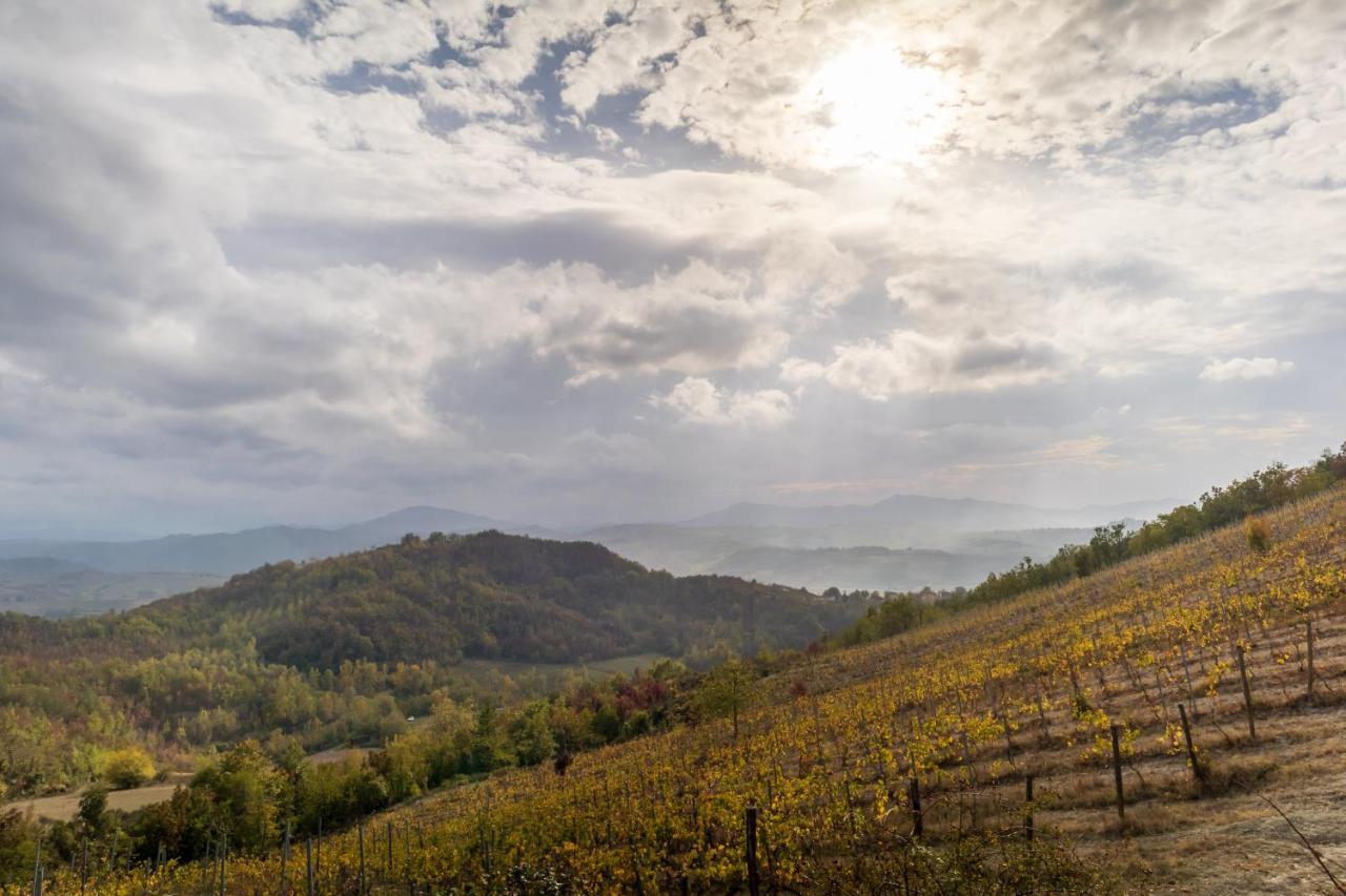 Oasi Di Mastarone - Il Vino E Le Rose *