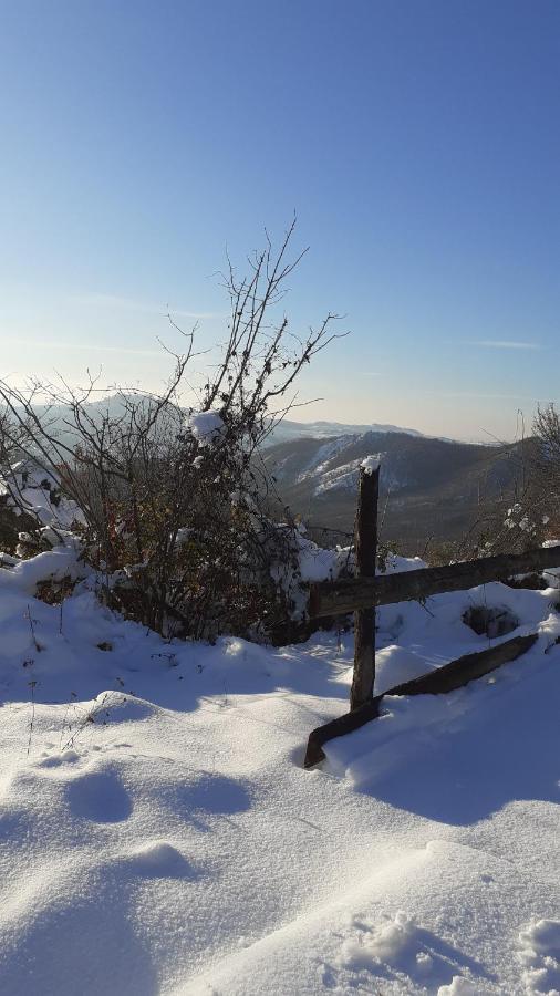 Farm stay Oasi Di Mastarone - Il Vino E Le Rose Momperone
