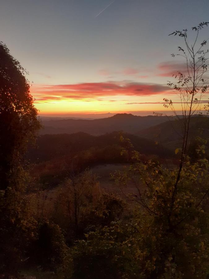 Oasi Di Mastarone - Il Vino E Le Rose *