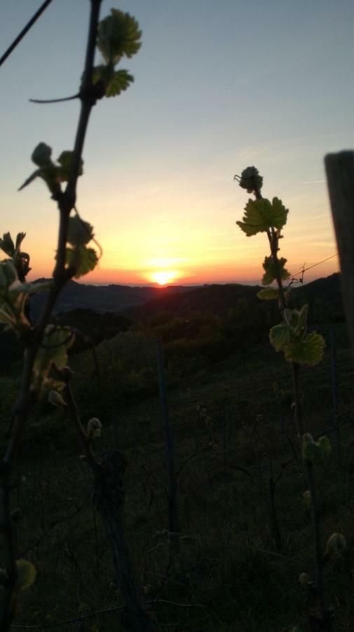 Oasi Di Mastarone - Il Vino E Le Rose Farm stay *